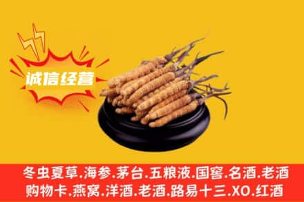 澄迈回收冬虫夏草